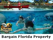 Bargain Florida Property for Sale